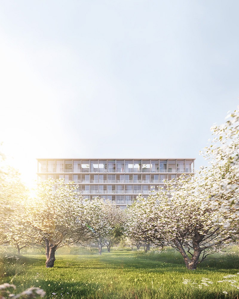 Scheldetuin Het masterplan van Nieuw Zuid door Studio Secchi-Viganò