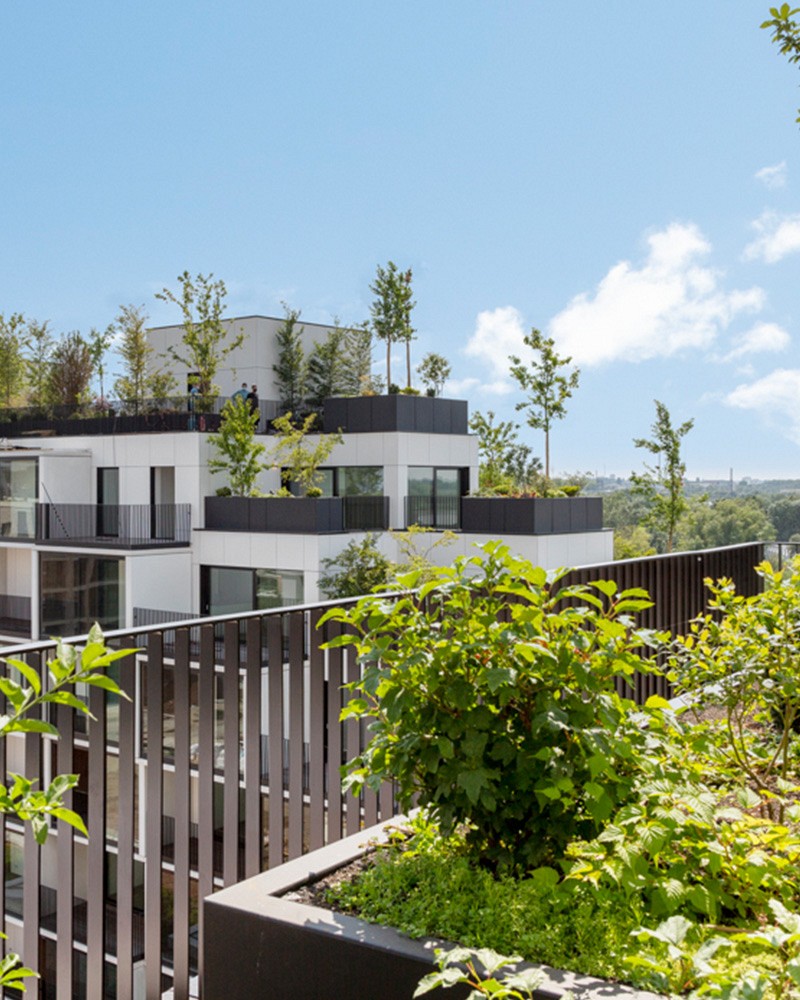 Scheldetuin Uitzonderlijk wonen in bijzondere nieuwbouwprojecten